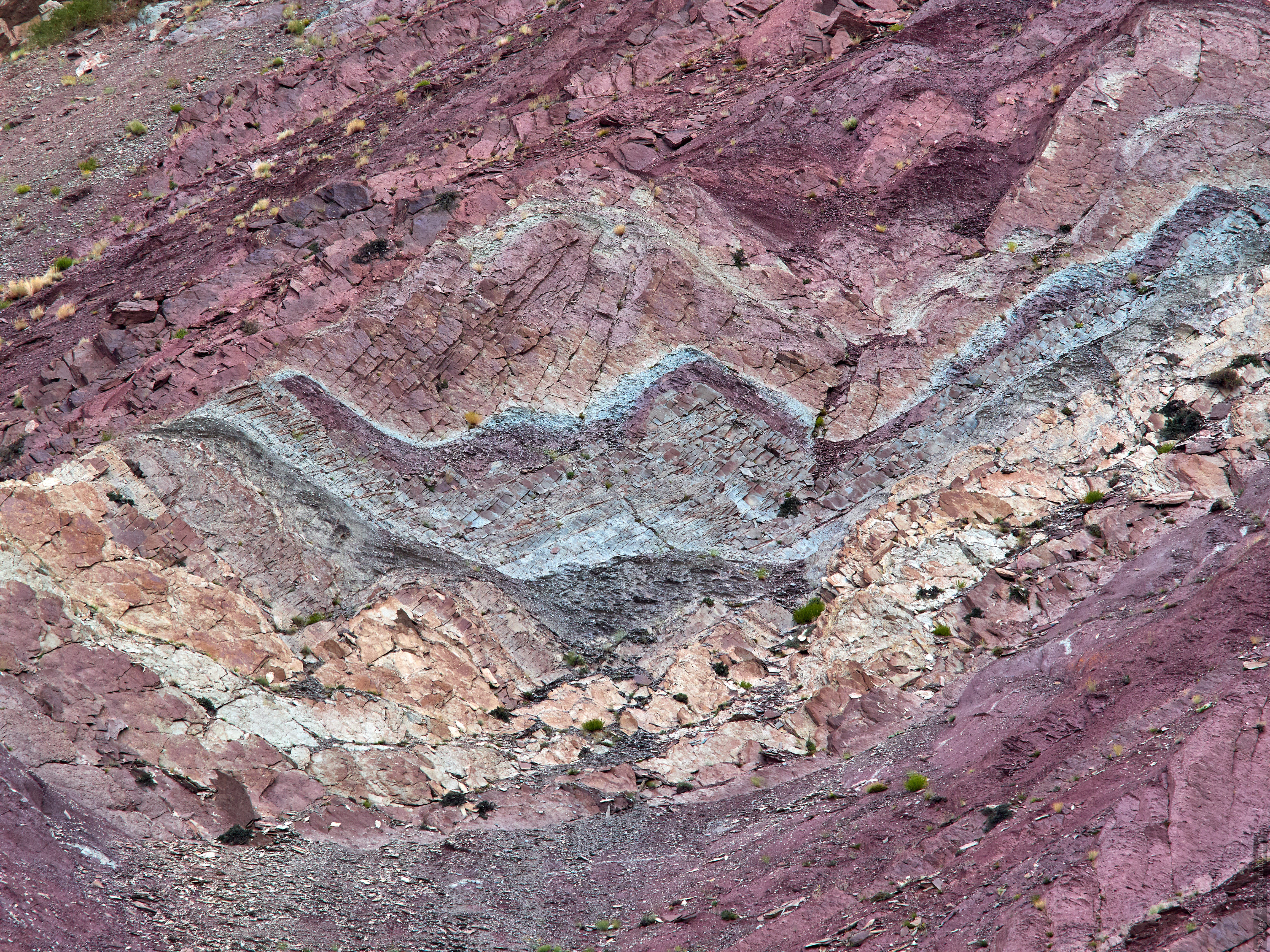 Stone paintings of the Burgundy Gorge, Ladakh women's tour, August 31 - September 14, 2019.