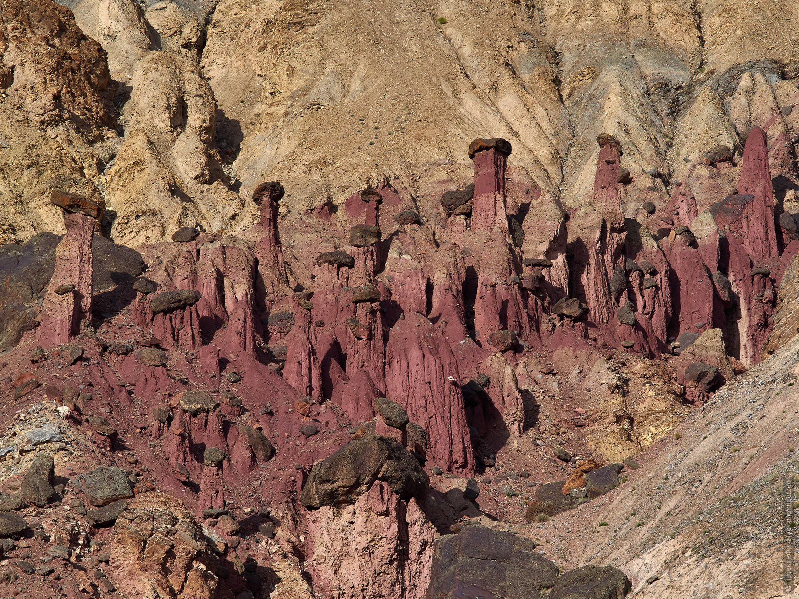 Stone mushrooms, Ladakhu women's tour, August 31 - September 14, 2019.