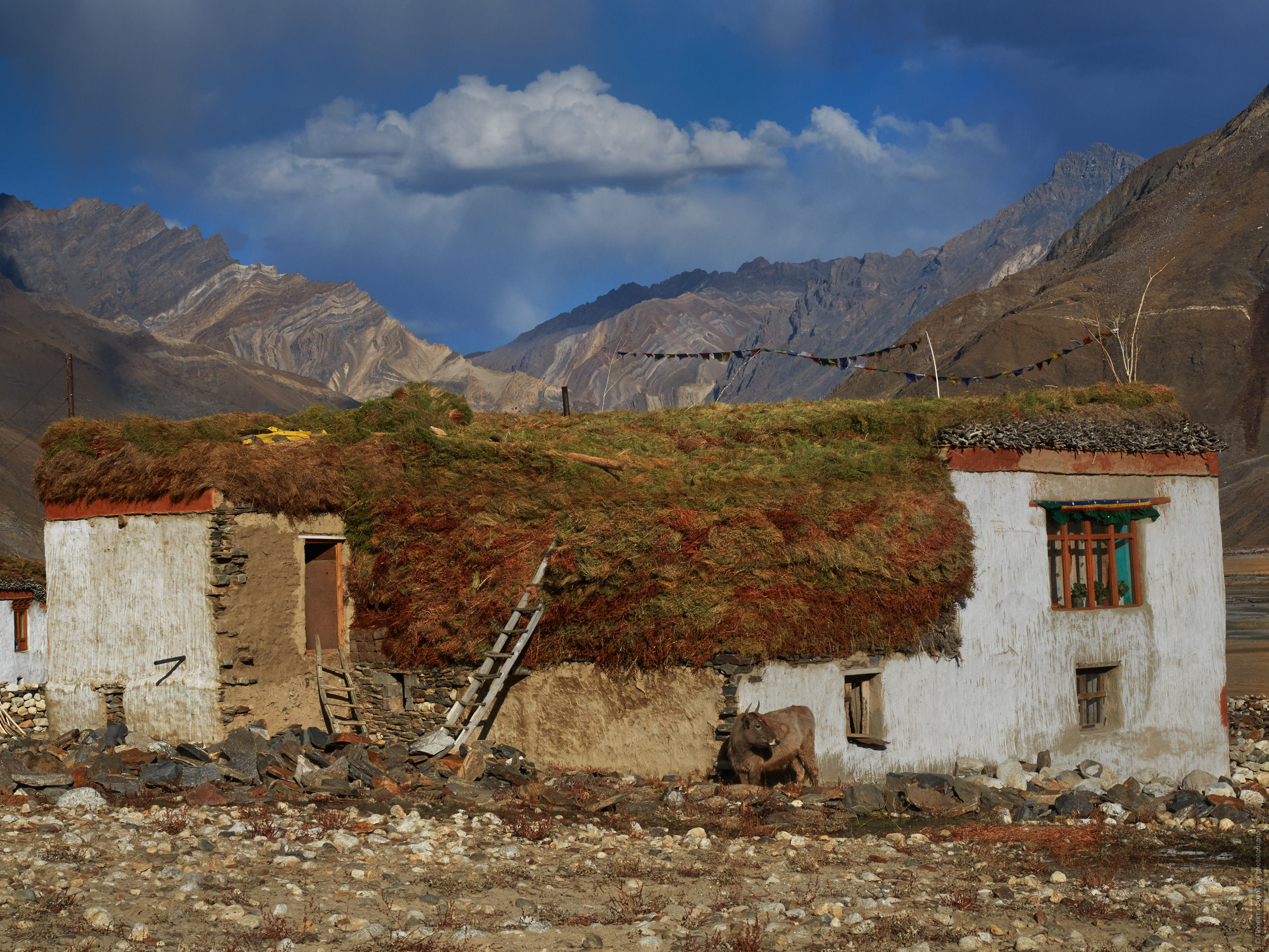 Autumn in Zanskar. Budget photo tour Legends of Tibet: Zanskar, 30.08. - 09.09.2025.